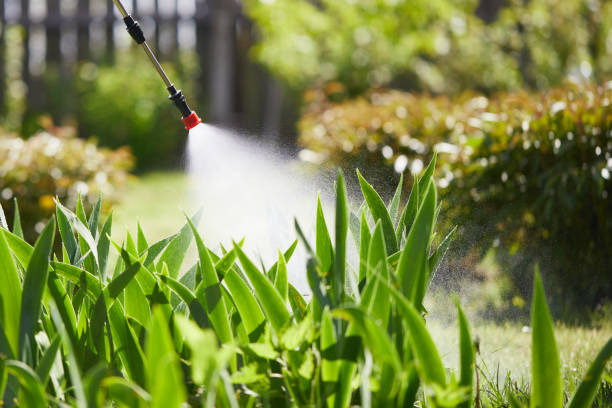 24/7 Emergency Fumigation Services experts in Forestdale, AL