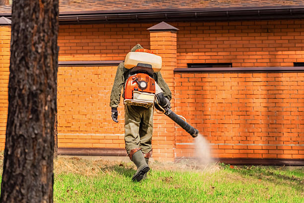 Trusted Bed Bug Control service in Forestdale, AL - Nex Pest Control